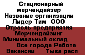 Стационарный мерчандайзер › Название организации ­ Лидер Тим, ООО › Отрасль предприятия ­ Мерчендайзинг › Минимальный оклад ­ 23 000 - Все города Работа » Вакансии   . Тыва респ.,Ак-Довурак г.